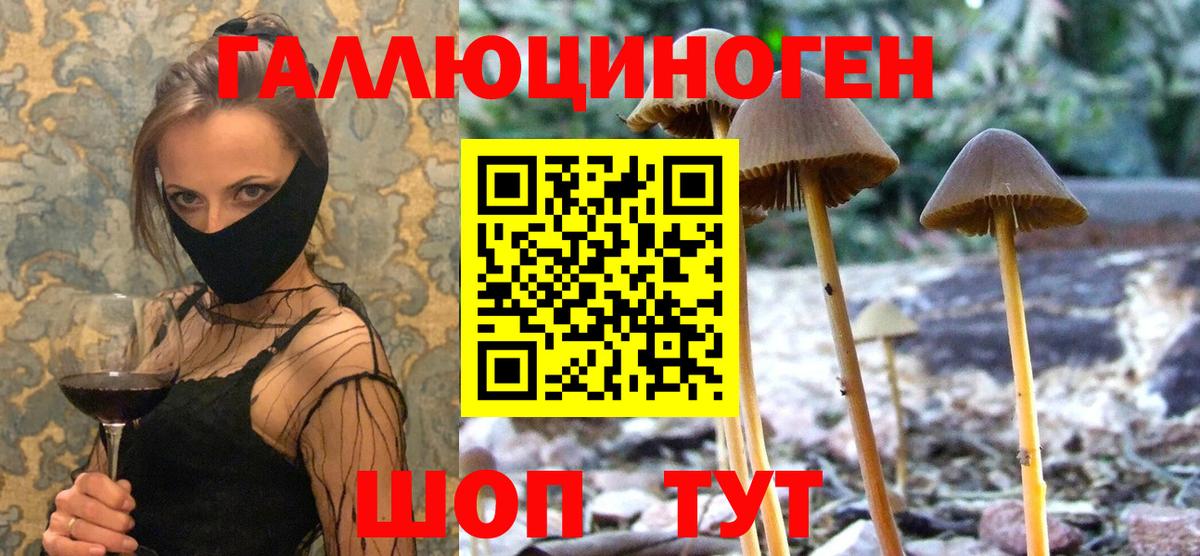 Псилоцибиновые грибы Psilocybine cubensis  Вход с VPN  Майкоп 